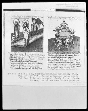 Speculum humanae salvationis — ---, Folio 24versoBuchseite
