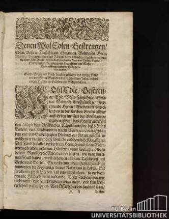 Denen Wol Edlen/Bestrengen/Edlen/Bösten/Fürsichtigen/Wolweisen/Herrn Meistern/Burgermeistern und Räthen/deren Löblichen/Hochberühmbten/deß Heyl. Röm. Reichs/dreyen Außschreidenden Frey- und Reichs-Stätten/Straßburg/Nürnberg und Franckfurt am Mayn/Meinen Großgünstigen/Hochehrenden Herzen, Gnad/Segen und Fried/beneben zeitlicher und ewiger Leibs und der Seelen Wolfahrt/durch Christum Jesum unsern einigen HERRN/Erlösern Seligmachern.