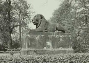 Löwe : Dresden, Großer Garten, ruhender Löwe