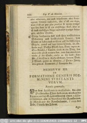 Membrum III. De Formatione Generis Foemini Substantivorum.