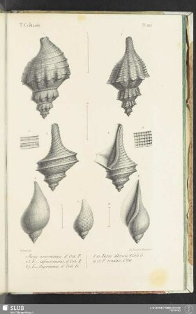 Pl. 222
