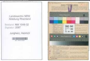 Entnazifizierung Heinrich Jungherz , geb. 22.03.1892 (Architekt)