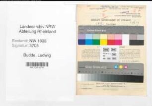 Entnazifizierung Ludwig Budde , geb. 10.09.1913 (Angestellter)