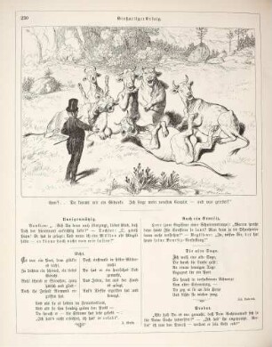 "Großartiger Erfolg"