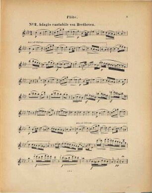 Sammlung von Adagios & Andantes : aus Sonaten von Beethoven, Haydn & Mozart ; nach d. Uebungsstücken für Oboe von J. Vizthum ; für Flöte mit leichter Clavierbegl. einger.