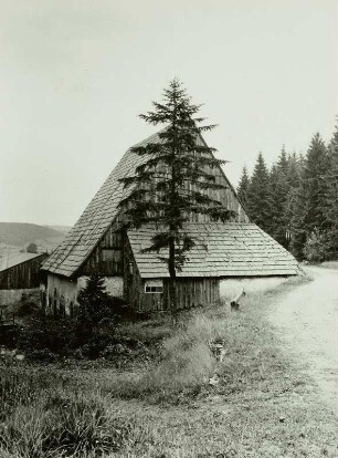 Altenberg (Erzgebirge), "Vereinigt Feld im Zwitterstock", ehemalige Schmelzhütte