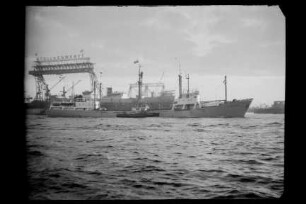 Albireo (1957), Argo Reederei.- Argo Reederei Richard Adler & Söhne, Bremen