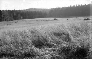 Landschaft mit Leinfeld am Glösenstein
