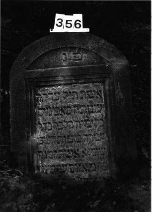 Grabstein 356 (Index: 99897984) Zustand: eingesunken, leicht angewittert Beschreibung: Segmentbogenabschluß, Schriftfeld eingetieft: Grabstein 356