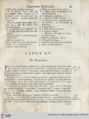 Caput XV: De Pancreate
