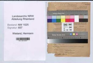 Entnazifizierung Hermann Wieland , geb. 06.12.1903 (Werkmeister)