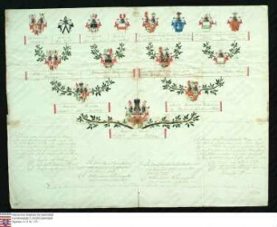 Ahnenprobe des Heinrich Theodor v. Hallberg. - ausgefertigt Wien 1790 Juli 7, (notariell beglaubigte Kopie) Papier