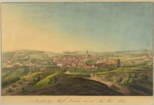Stadtansicht von Döbeln in Mittelsachsen aus südwestlicher Richtung, mit der Nikolaikirche