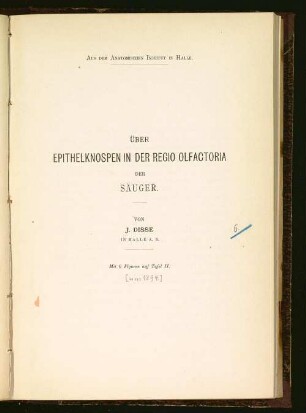 Über Epithelknospen in der Regio olfactoria der Säuger : aus dem Anatomischen Institut in Halle