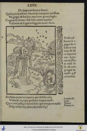 De improvidentia futuri