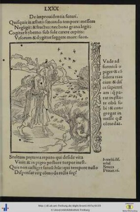 De improvidentia futuri