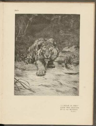 Abbildungen [Pl. 1 - 5, 9, 10]