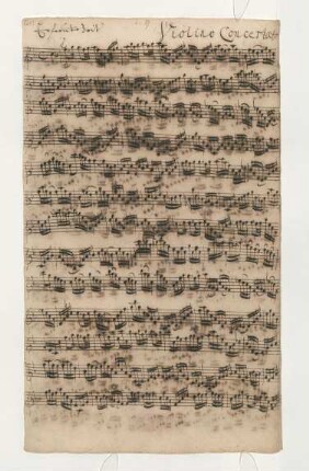 Violino concertato