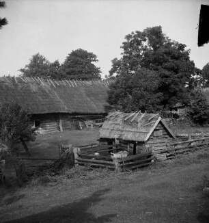 Insel Runö, Bauernhäuser