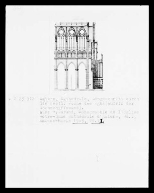 Amiens, Kathedrale, Aufriss der Hochschiffswand