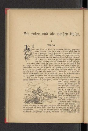 Die roten und die weißen Rosen.