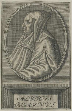 Bildnis des Albertus Magnus