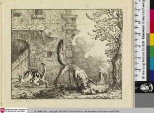 [Der Fuchs und die Katze; Le Renard et le Chat]