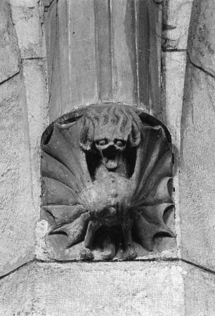 Drache