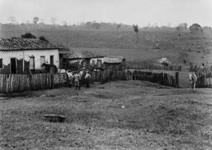 Kleine Fazenda : Männer der Expedition am Zaun einer kleinen Fazenda mit einigen Pferden. Im Hintergrund Weideland.