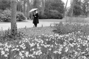 Regnerischer Frühlingstag im Karlsruher Schlossgarten