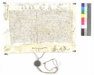 Bulle über die Aufschwörung des Ellwanger Kapitularen Doktor Johann Melchior Balthasar.