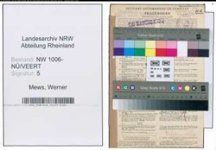 Entnazifizierung Werner Mews , geb. 12.03.1901 (Holzkaufmann)