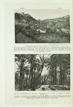 Aus der südlichen Randzone Spaniens. Granada 650 m