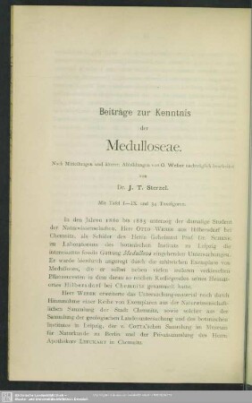 Beiträge zur Kenntnis der Medulloseae