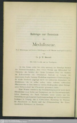 Beiträge zur Kenntnis der Medulloseae