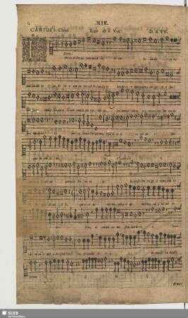 XIV. Laudate Dominum de caelis