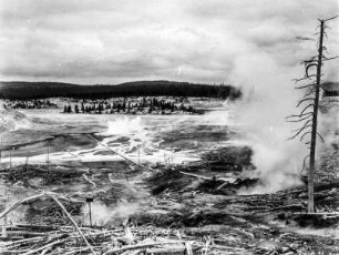 Das Norris-Geysir-Becken : Blick auf das Norris-Geysir-Becken, dem heißesten Bereich des Yellowstone-Nationalparks.