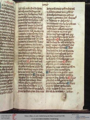 Papst Johannes XXI. (Petrus Hispanus), Thesaurus pauperum (Auszug)