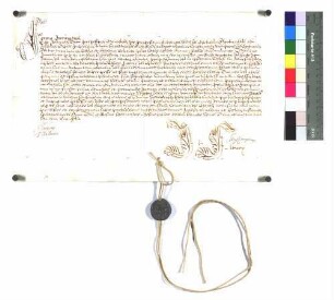 Päpstlich approbierte Eidesformel des neuen Propstes des Wengenstfts zu Ulm, Johannes Dürr.