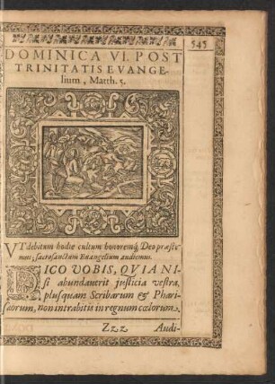 Dominica VI. Post Trinitatis Evangelium, Matth. 5.