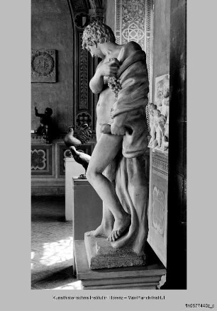 Bacchus mit dem Panther - Bacchus