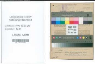 Entnazifizierung Albert Lossau , geb. 06.10.1888 (Beamter)