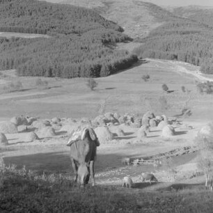 Ländliche Gegend bei Kopriwschtiza im zentralen Teil des Sredna-Gora-Gebirges