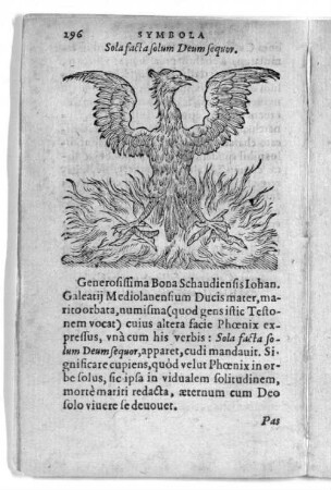 Sola facta solum Deum sequor.