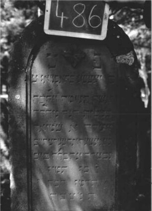 Grabstein 486 (Index: 99895561) Material: Sandstein Zustand: gut Maße HxBxT: 170x54x20 cm Beschreibung: Stele mit Rundbogenabschluss; Sockel Symbolik: vierblättrige Blüte: Grabstein 486 (2)