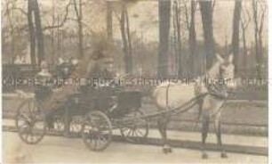 Pferdekutsche (im Berliner Tiergarten?)
