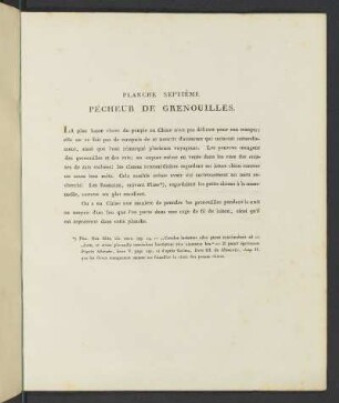 Planche Septième