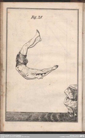 Fig. 28