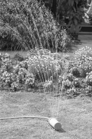 Hoher Wasserverbrauch im heißen Sommer 1983