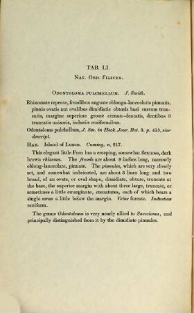 Sertum plantarum : or, drawings and descriptions, of rare and undescribed plants from the author's herbarium, 3